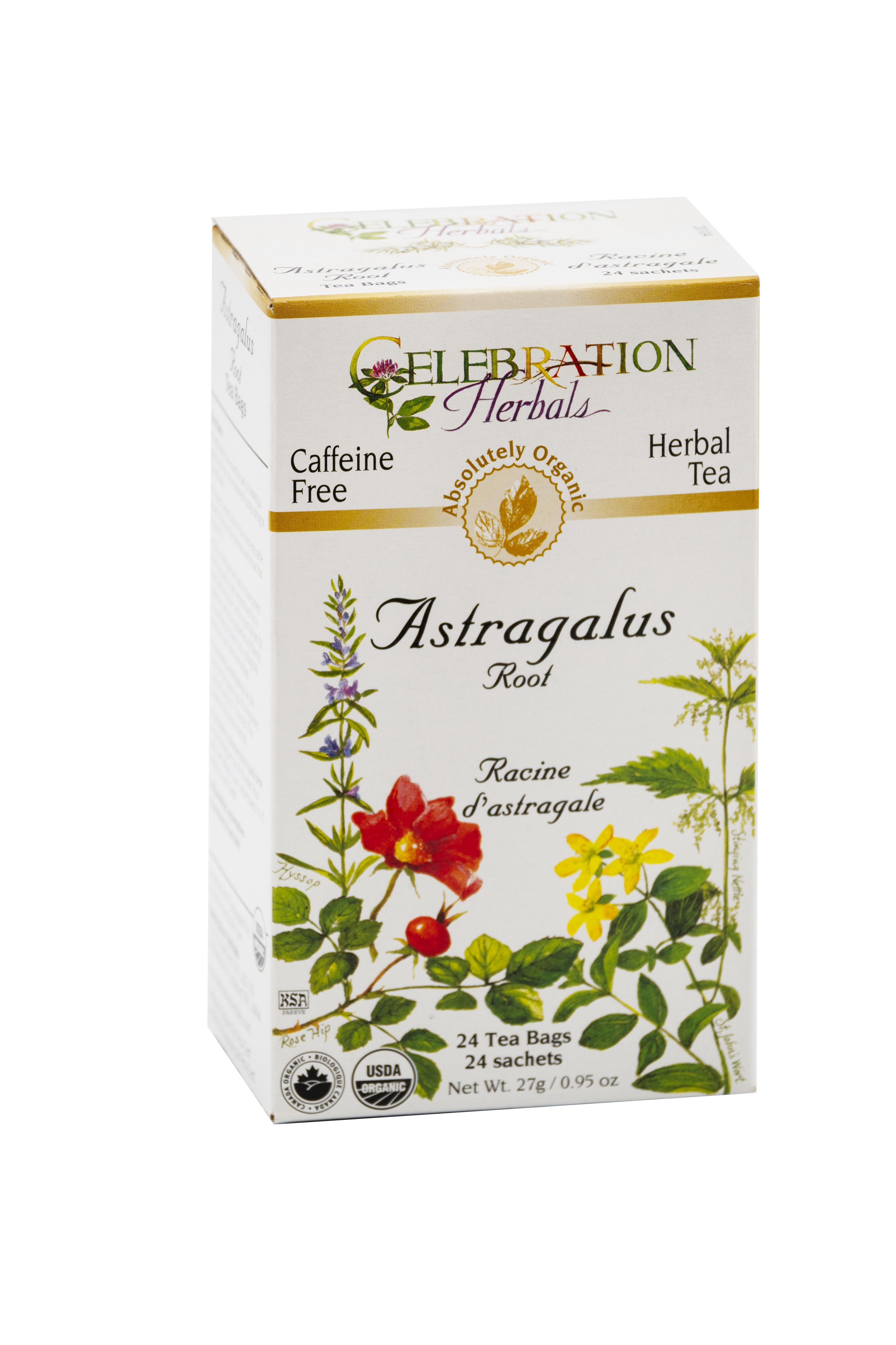 Astragalus Root Tea