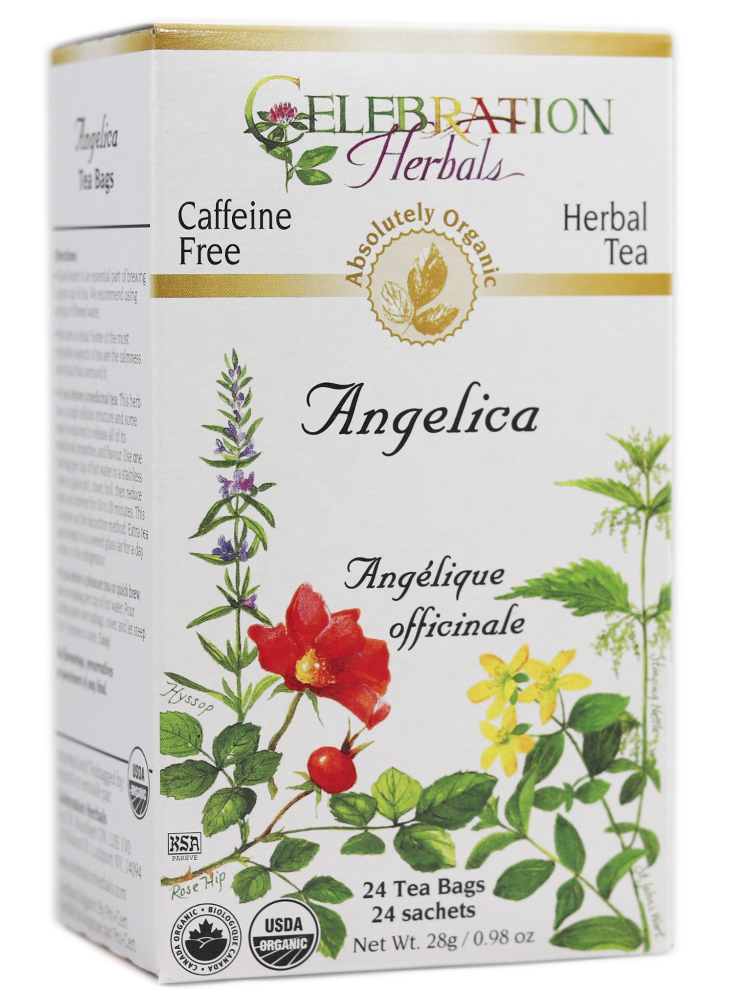Angelica Root Tea