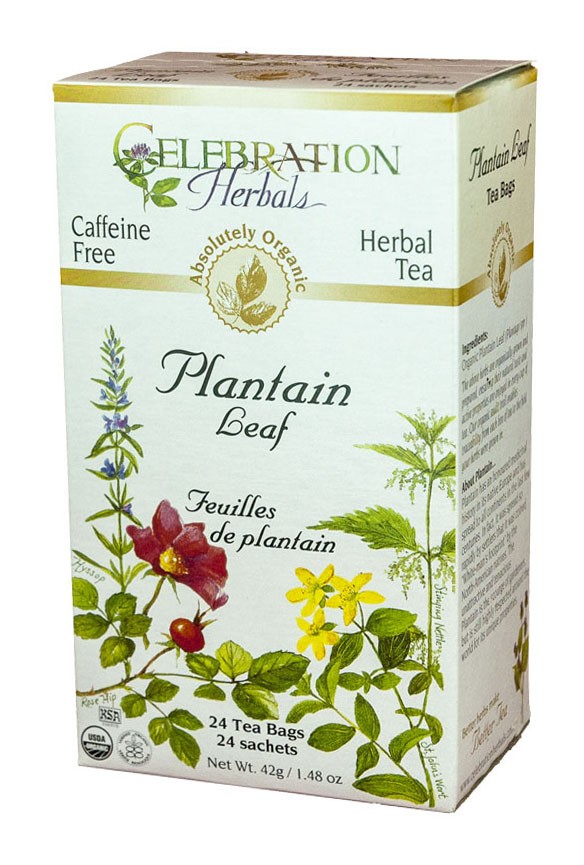 Plantain Leaf