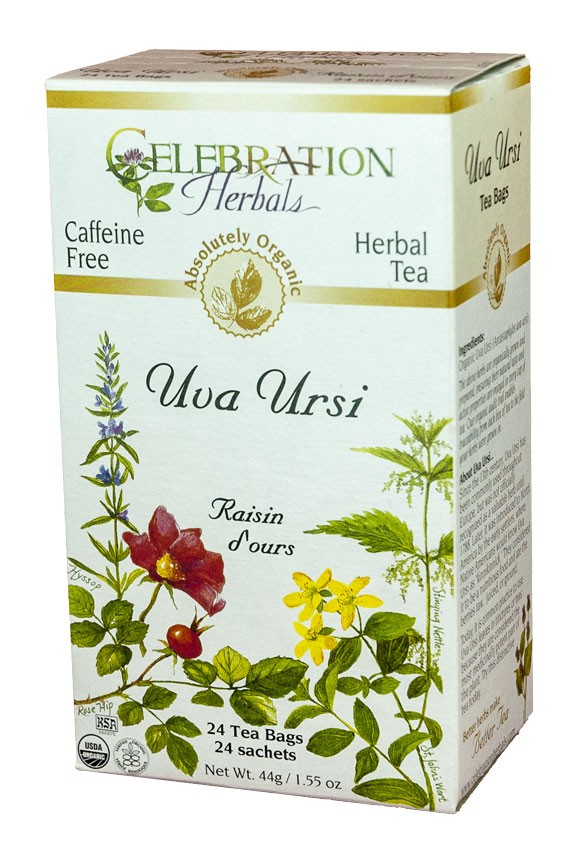 Uva Ursi