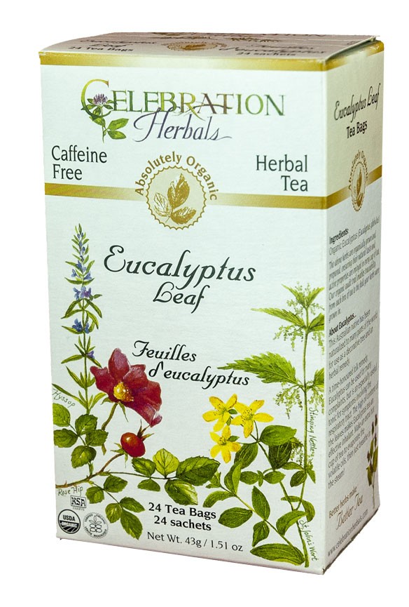 Eucalyptus Leaf