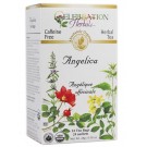 Angelica Root Tea