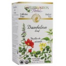 Dandelion Leaf 