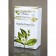 Bancha Green Tea